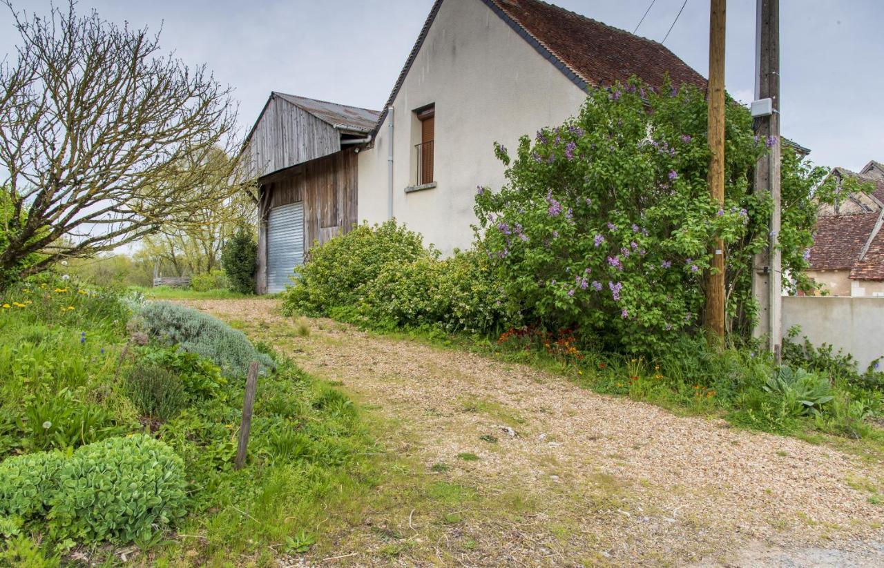Le Beverly A 9 Min De Beauval Châteauvieux Kültér fotó